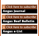 subscribe to Angus Journal, Angus Beef Bulletin, Angus e-List